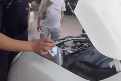 Yalova’da otomobile sıkışan minik kedinin yardımına itfaiye ekipleri yetişti