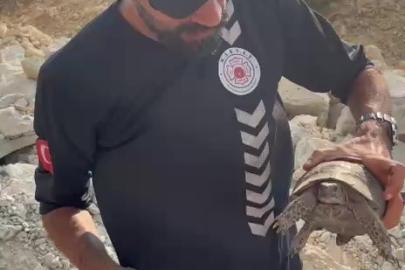 Yangın bölgesinde canlıların tahliyesi için seferber oldular