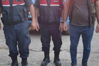 Yaralı dağ keçisini jandarma kurtardı