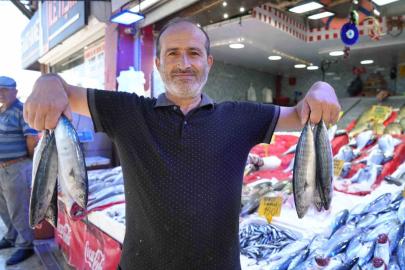 Yıllardır böylesi görülmedi: Karadeniz’den palamut fışkırıyor