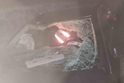 Yola çıkan ineğe çarpan araç takla attı: 6 yaralı