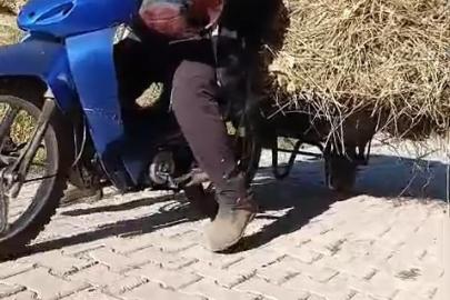 Yüksekovalı vatandaşın pratik zekası: Motosikletin arkasına el arabası bağlayarak üzerinde ot taşıdı