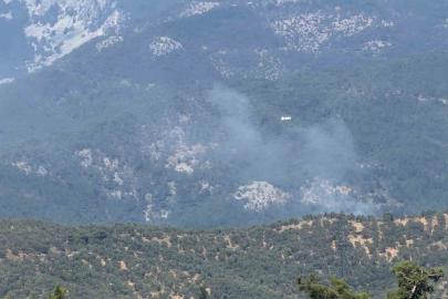 Zeytinlikte çıkan yangın Kazdağı Milli Parkı’na sıçradı