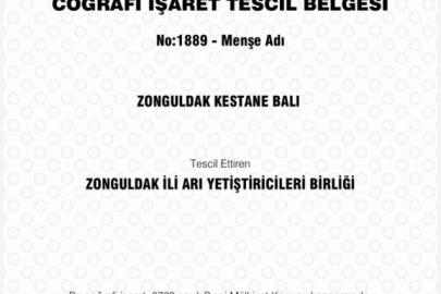 Zonguldak kestane balı coğrafi işaret tescili aldı