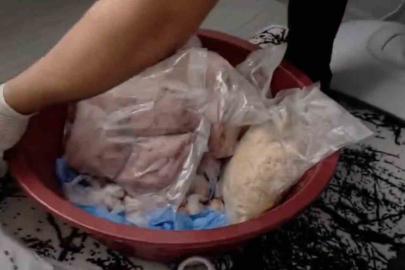 1 ton 958 kiloluk bonzai operasyonu: 2 şüpheli tutuklandı