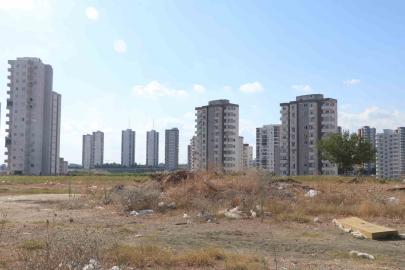 Adana’da cırcır böceği sesleri vatandaşları uyutmuyor