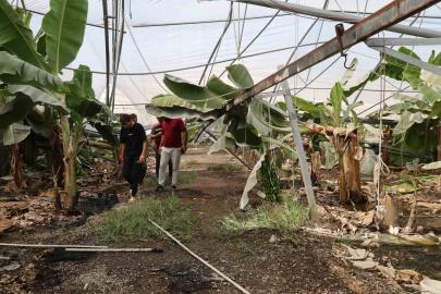 Adana’da fırtına çatıları uçurdu, muz serasında direkler devrildi