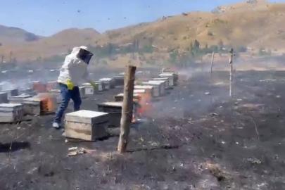 Adıyaman’da otluk alan yangını 200 arı kovanını kül etti