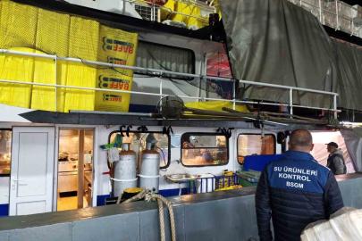 Akçakoca’da Palamut avına sıkı denetim