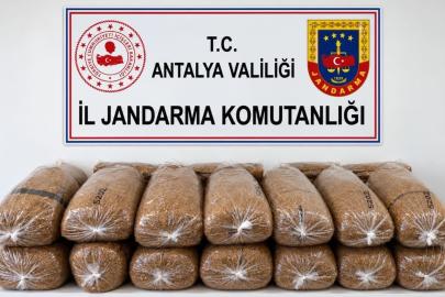 Alanya’da 144 kilo kaçak tütün ele geçirildi