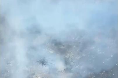 Alanya’nın iki ayrı mahallesindeki kısmen ormana sıçrayan yangın söndürüldü