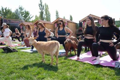 Ankara’da spora cüce keçiler de eşlik etti