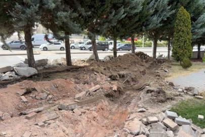 Ankara’da yol genişletme çalışmalarında 40 ağacın kesilmesi kararına tepki