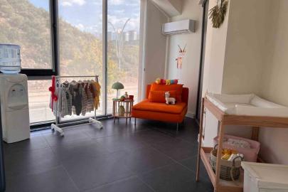 Anne dostu oto showroom