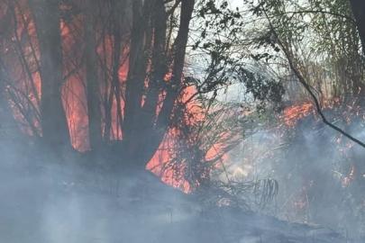 Antakya’da ağaçlık ve otluk alan yangını büyümeden söndürüldü