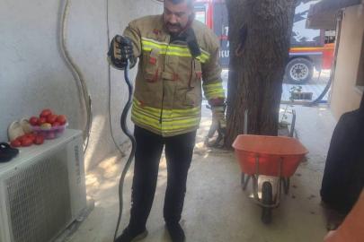 Antakya’da eve giren yılan ekipler tarafından yakalandı