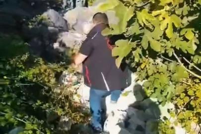 Avcılar ihbar etti, ekipler topladı: Kaçak avcılık düzenekleri imha edildi