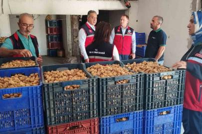 Aydın’da kuru incir için sıkı denetim