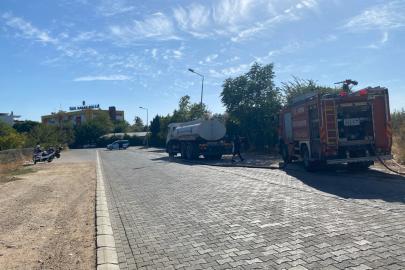Aydın’da okul yanında başlayan panikletti
