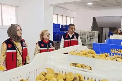 Aydın’ın sarı altını incir için denetimler sıklaştırıldı