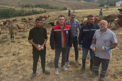 Aydıntepe’de hayvan yetiştiricilerine yonca zehirlenmesi uyarısı