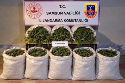 Bafra’da 63 kilo kubar esrar ele geçirildi