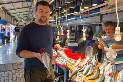 Bandırma’da balık tezgâhlarında palamut bereketi