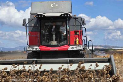 Bandırma’da kaymakam tarlaya indi, ayçiçeği hasadına katıldı
