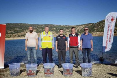 Baraj ve göletler 122 bin yavru balıkla buluştu