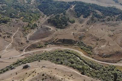 Bayburt’ta 3 projeyle 145 bin fidan toprakla buluşacak