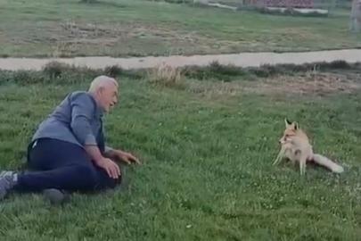 Bayburt’ta vatandaşın tilkiyle dostluğu kameraya yansıdı