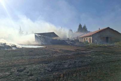 Beyşehir ve Hüyük’te çıkan anız yangınları paniğe neden oldu