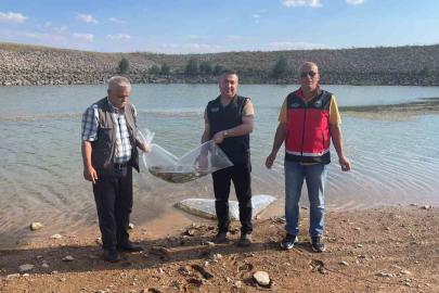 Beyşehir ve Hüyük’ün göletlerine balık bırakıldı