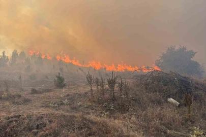 Bilecik’te makilik alanda çıkan yangın rüzgarın etkisiyle büyüyor