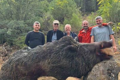 Bilecik’te mısırları talan eden 350 kiloluk dev domuz avcılar tarafından vuruldu