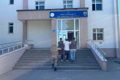 Bingöl’de jandarmadan bir haftada 41 olaya müdahale: 38 şüpheli yakalandı