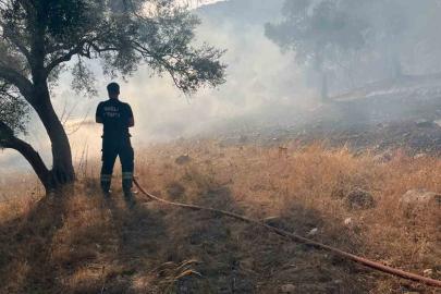 Bodrum-Milas karayolu üzerinde ot yangını