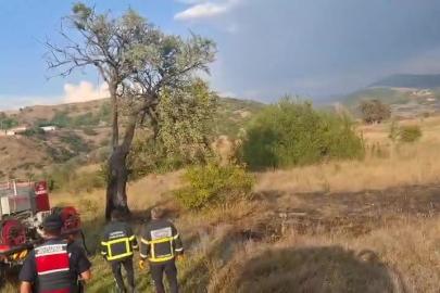 Bolu’da ağaca düşen yıldırım yangına sebep oldu