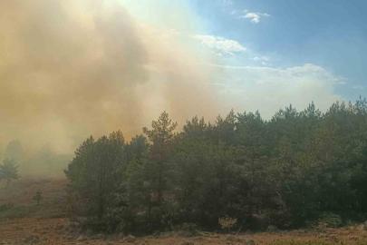 Bolu’da anız yangını ormana sıçradı: 2 helikopter sevk edildi
