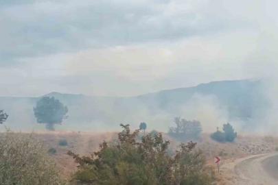 Bolu’da arazi yangını ormanlık alana ulaşmadan söndürüldü