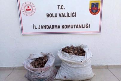 Bolu’da kaçak salyangoz operasyonu: 2 şahıs jandarmaya yakalandı