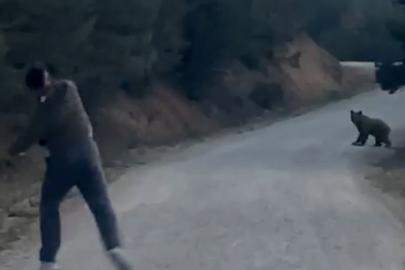 Bolu’da karşılarına çıkan ayıyı taşla kovaladılar