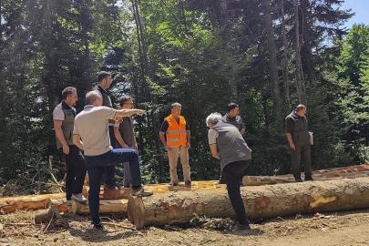 Bolu’da ormancılık faaliyetlerine saha denetimi