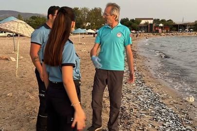 Bozbük İncekum Plajı’nda balık ölümleri inceleniyor