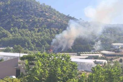 Bozyazı’da orman yangını büyümeden söndürüldü