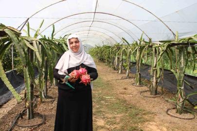’Burada yetişmez’ diyenlere inat üretime başladı, 1 tonun üzerinde ürün bekliyor
