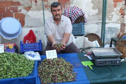 Burhaniye’de kınalı bamya ilgi gördü
