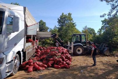 Bursa’da 8 ton midye ele geçirildi