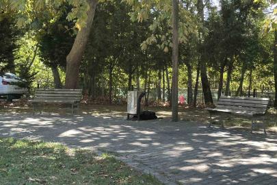 Cami parkındaki bankta şüpheli ölüm