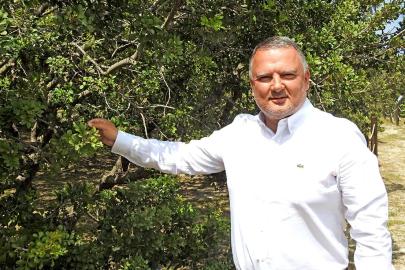 Çeşme damla sakızı uluslararası bilimsel yayına konu oldu